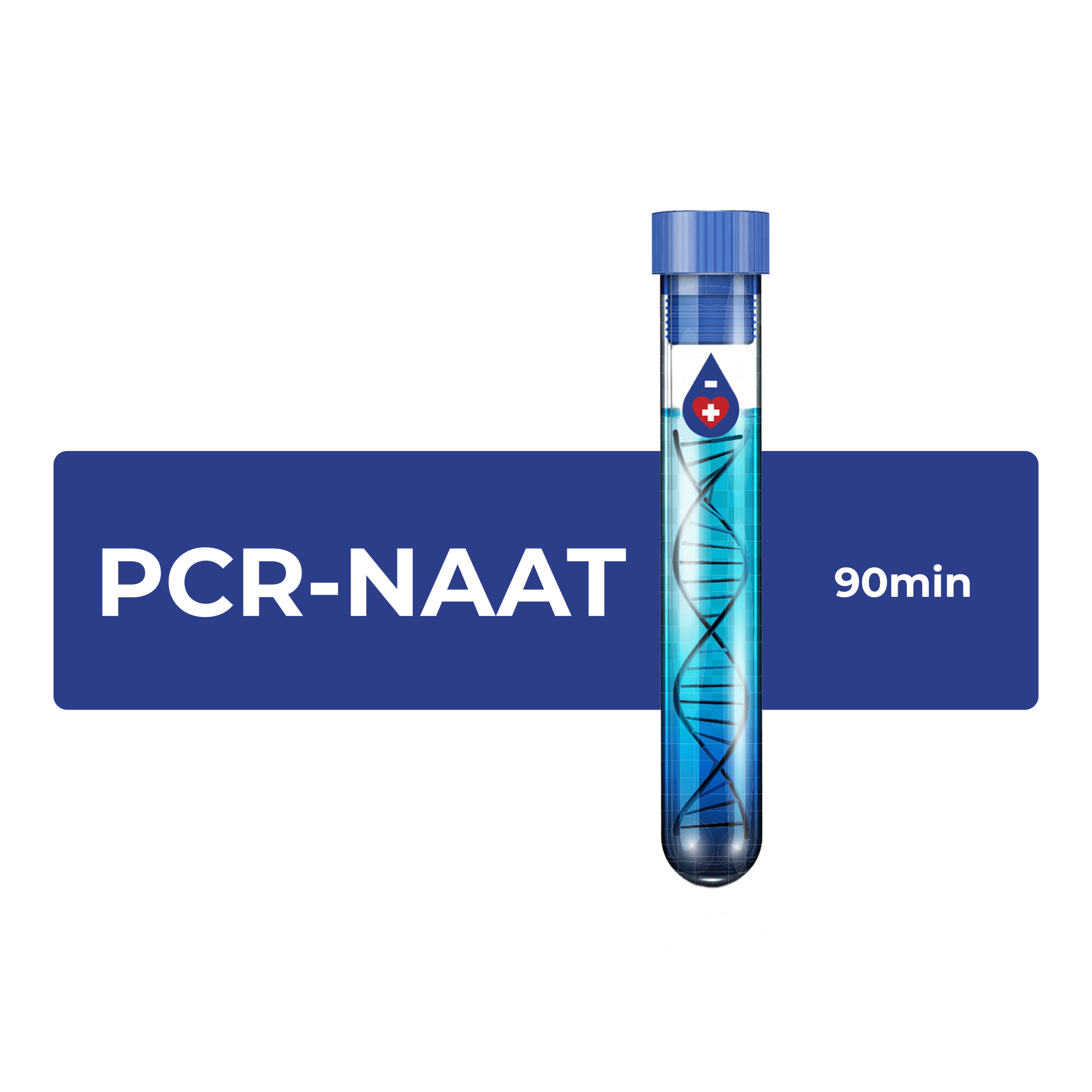 PCR -MOLECULAR TEST - COVID-19