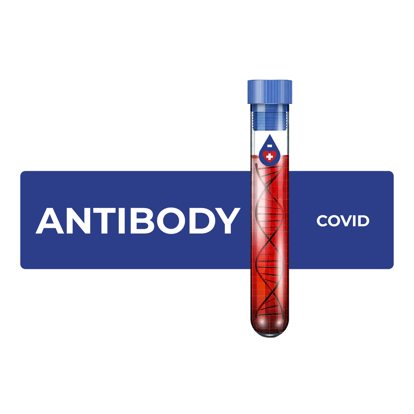 RAPID ANTIBODY TEST COVID-19